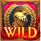 สัญลักษณ์-Wild